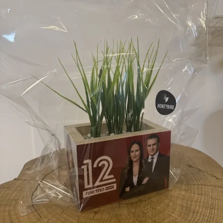 עציץ עם תמונה