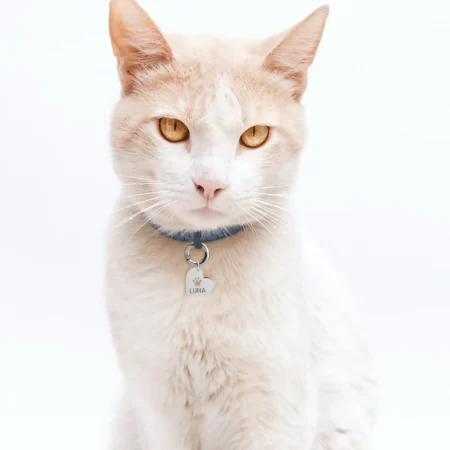 תג זיהוי לחיות מחמד בצורת לב